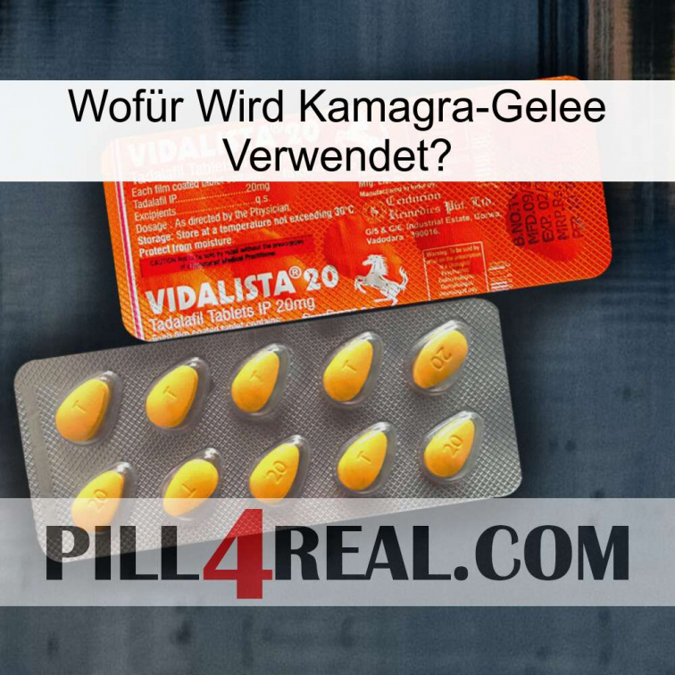 Wofür Wird Kamagra-Gelee Verwendet0 new01